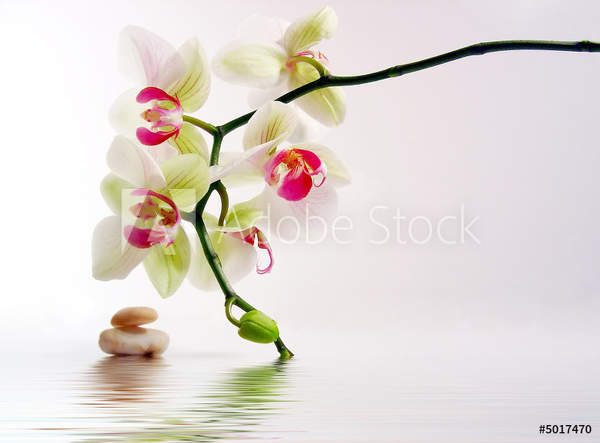  артикул 10035525
