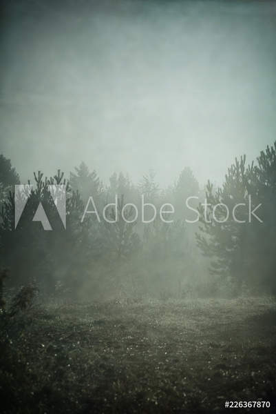  артикул 10035583