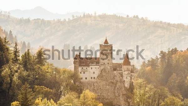  артикул 10035663