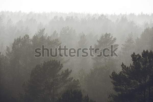  артикул 10035643