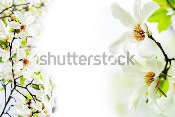  артикул 10035668