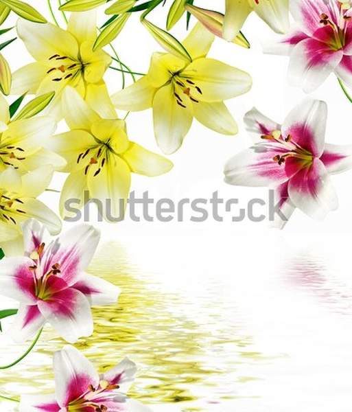  артикул 10035669