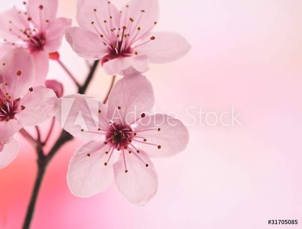  артикул 10035727