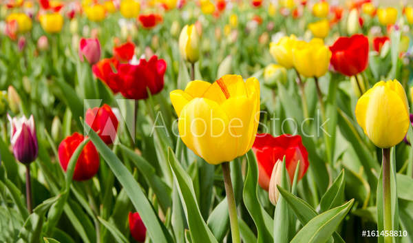  артикул 10035728
