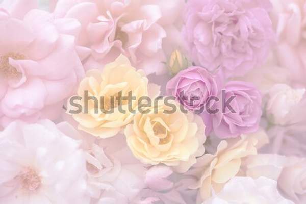  артикул 10035709
