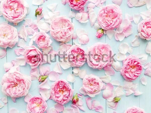  артикул 10035706