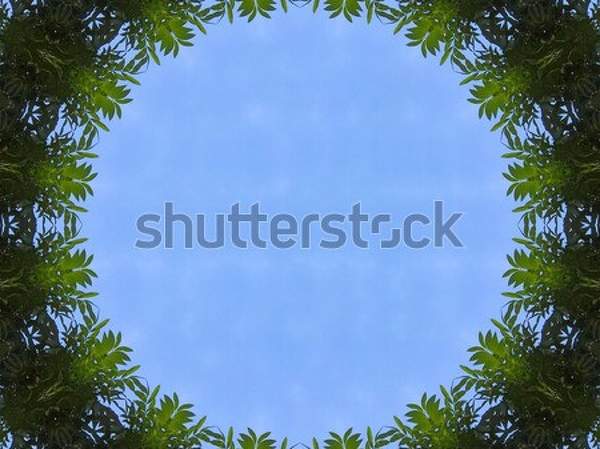  артикул 10035736