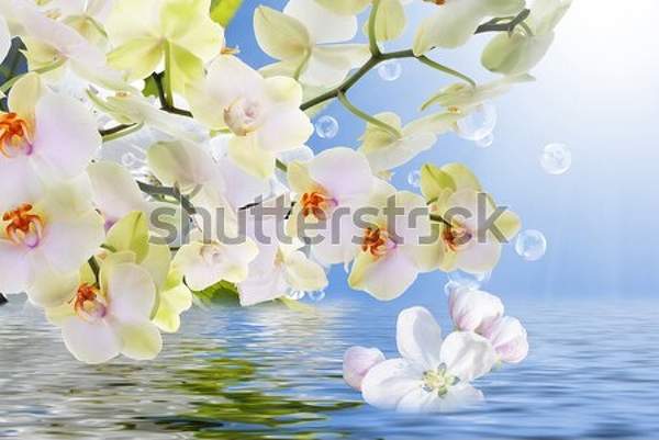  артикул 10035845