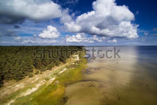  артикул 10035904