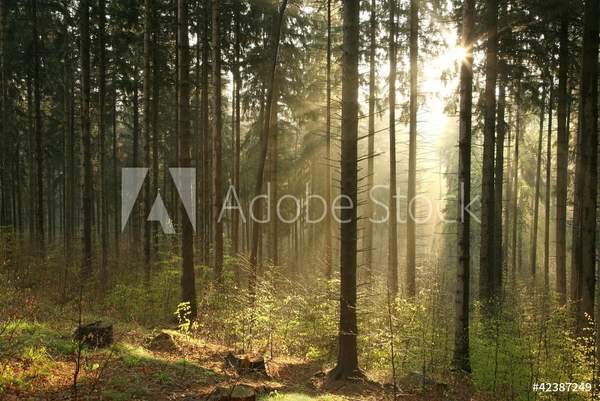  артикул 10036196