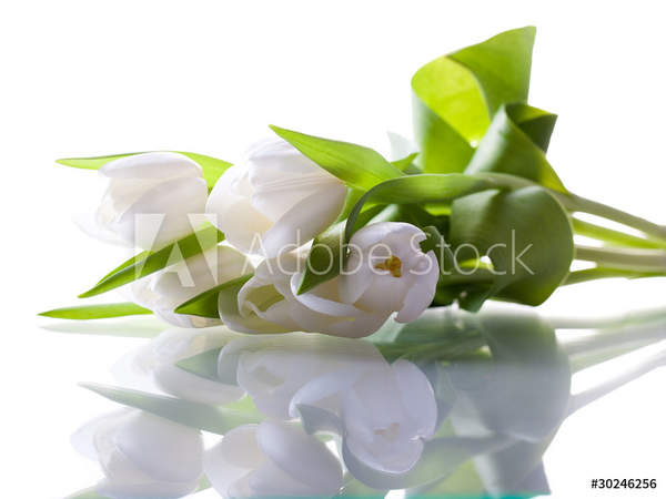  артикул 10036238