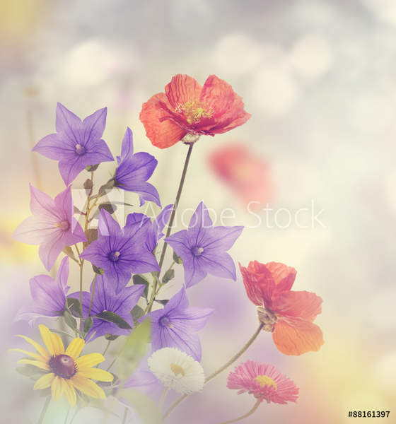  артикул 10036374
