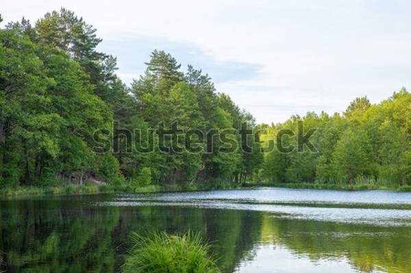  артикул 10036948