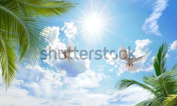  артикул 10037014