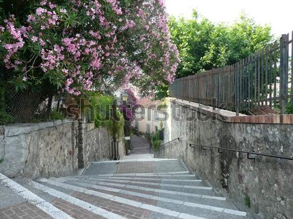  артикул 10037135