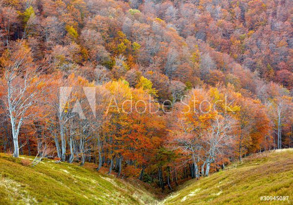  артикул 10037097