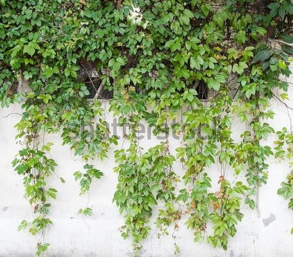  артикул 10037197