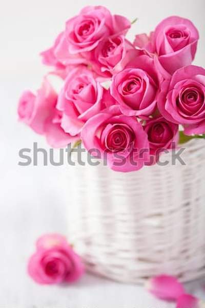  артикул 10037496