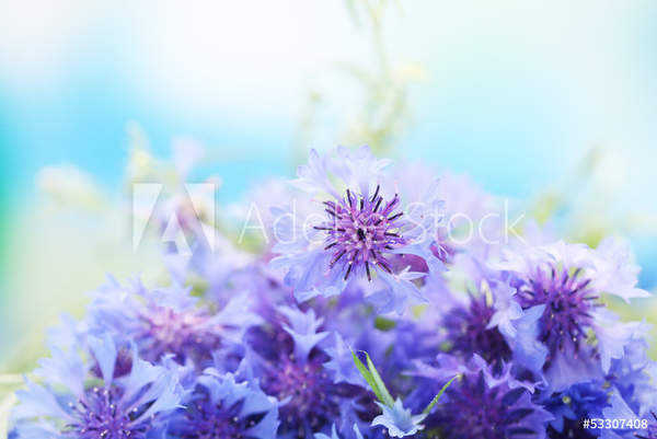  артикул 10037476