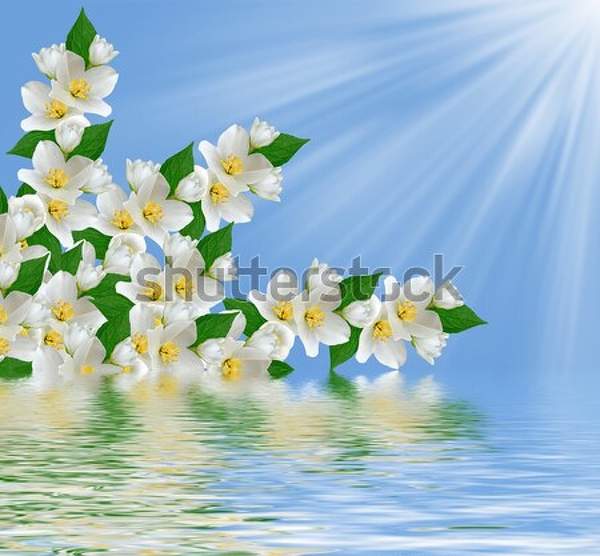  артикул 10037722