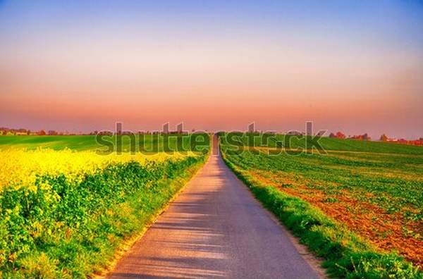  артикул 10037954