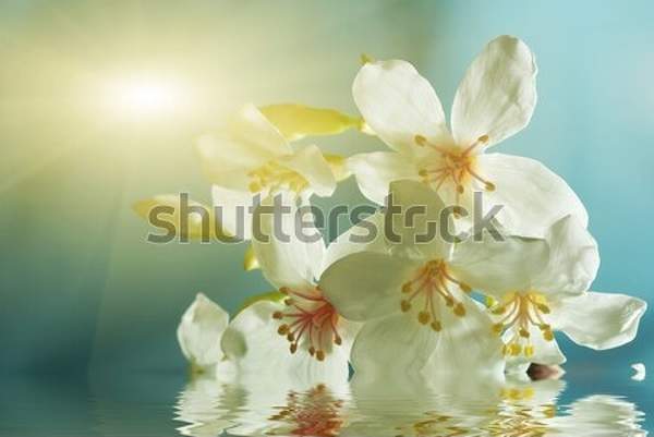  артикул 10038008
