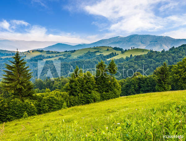  артикул 10038232