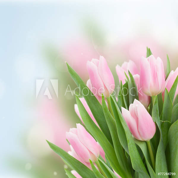  артикул 10038267