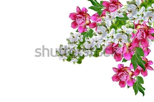  артикул 10038525