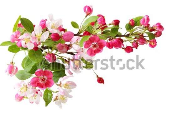  артикул 10038526