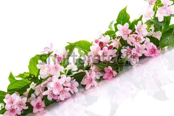  артикул 10038741