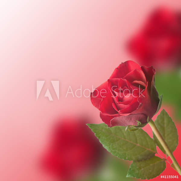  артикул 10038814