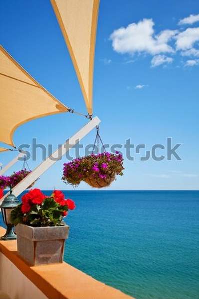  артикул 10038863