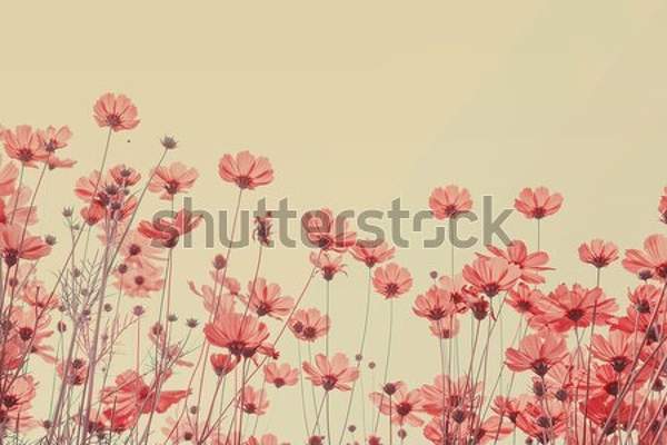  артикул 10038881