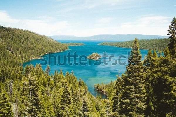  артикул 10038957
