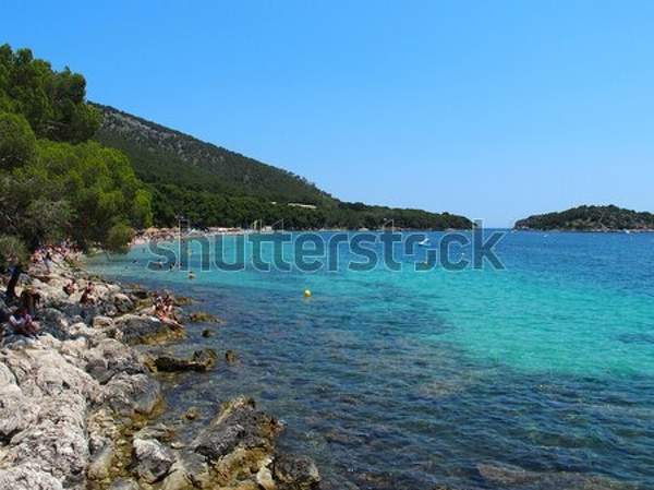 артикул 10039037