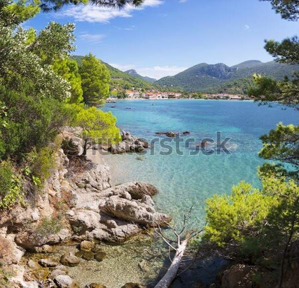  артикул 10039003