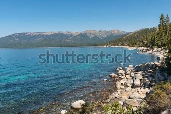  артикул 10039043