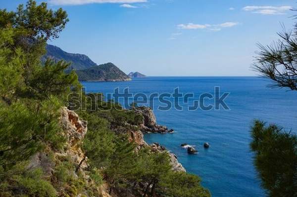  артикул 10039049