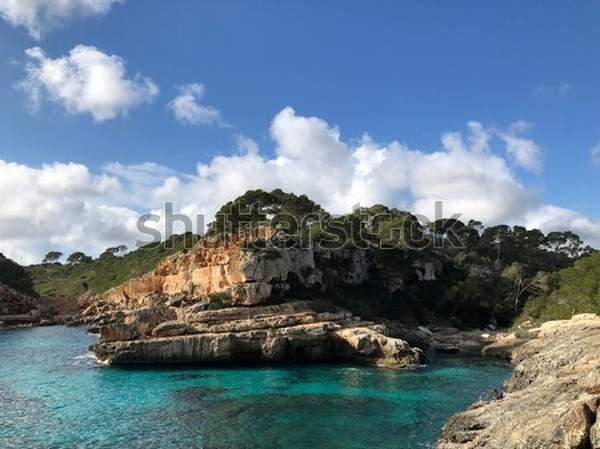  артикул 10039020