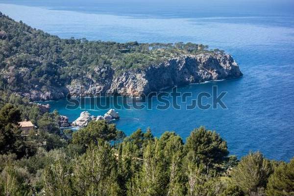 артикул 10039187