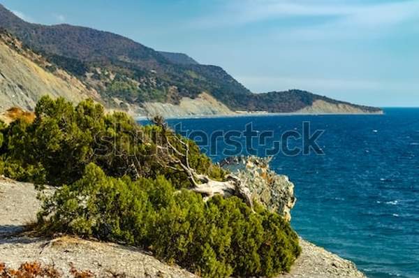  артикул 10039089