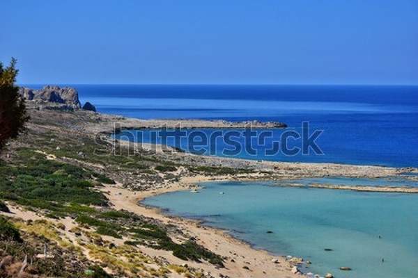 артикул 10039224