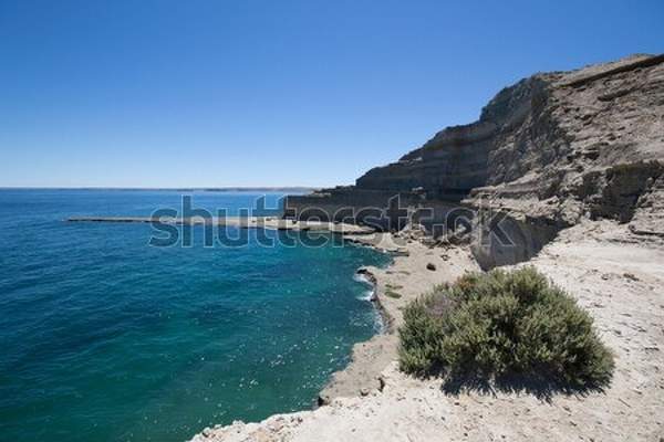  артикул 10039233