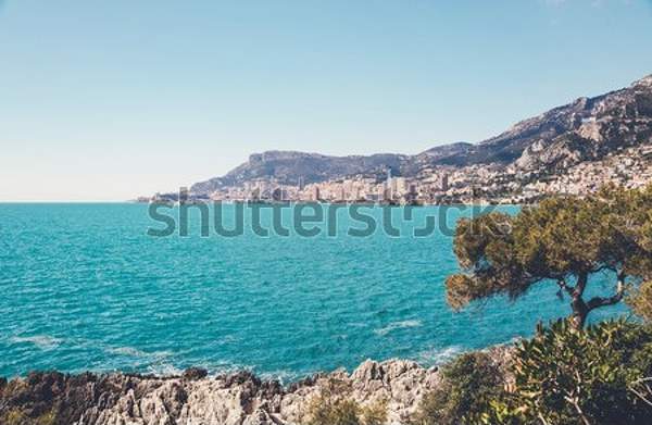  артикул 10039228