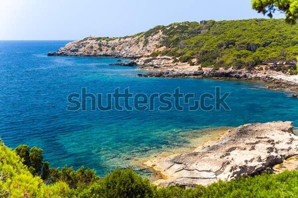  артикул 10039193