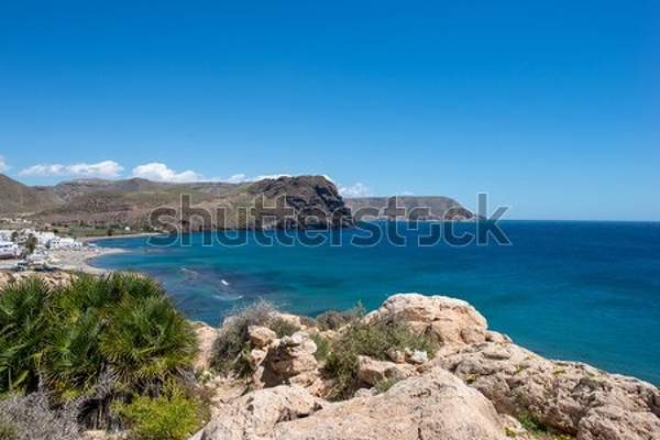  артикул 10039226