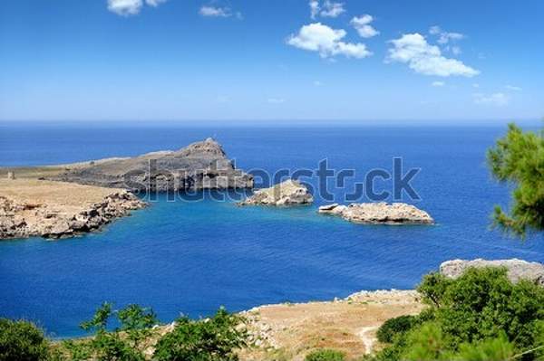  артикул 10039221