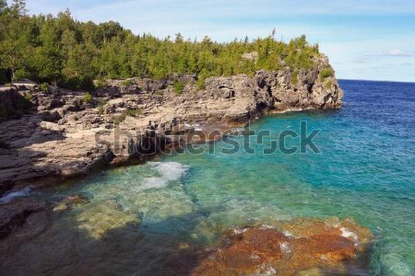 артикул 10039068