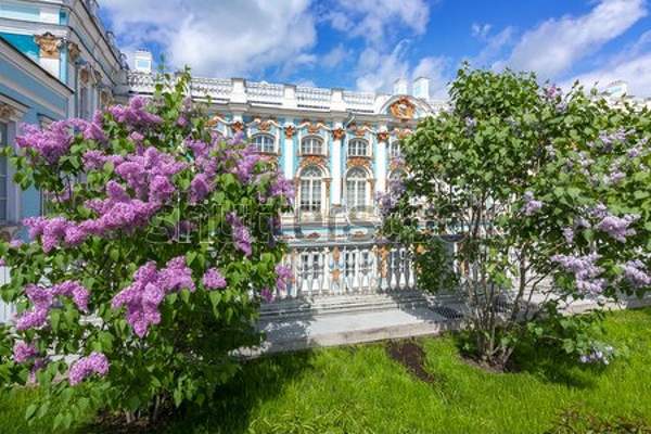  артикул 10039141